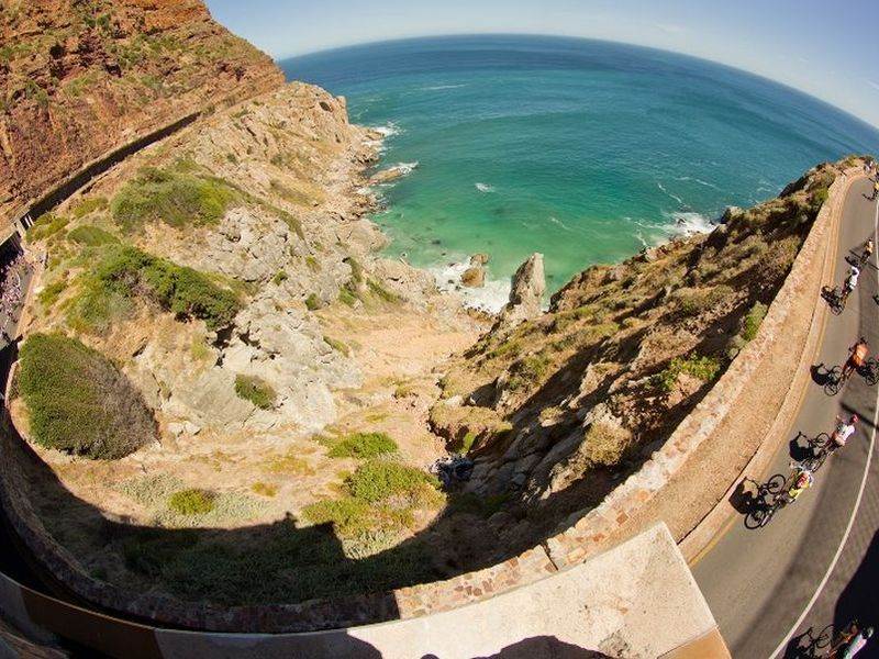 A purrfect immersive experience for the felines and friends of Opti Life